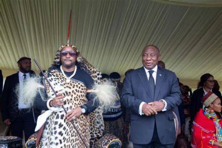 Royal house confusion as Zulu regiments and prince Misuzulu interrupt