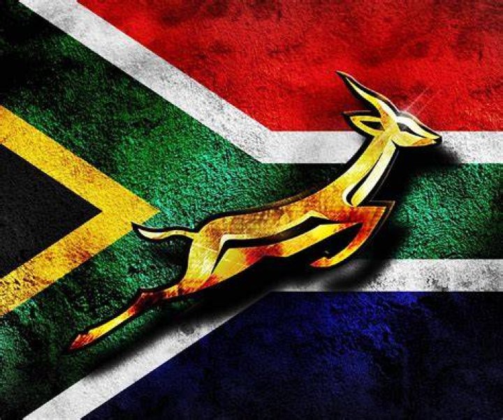Springbok wallpaper by duv06 Download on ZEDGE&trade; 018e