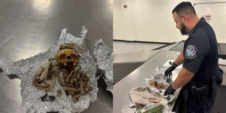 Suspected human remains and items belonging to Brian Laundrie found in
