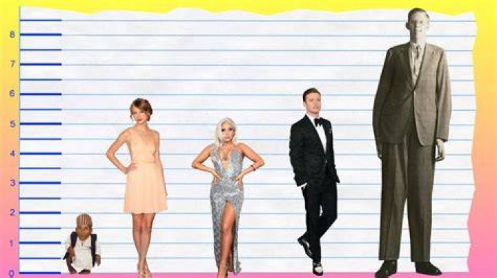 Taylor Swift Height How Tall is The Singer? Hood MWR