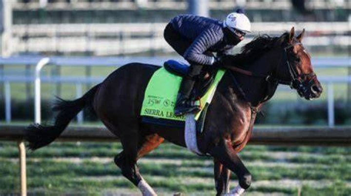 Terrill Brown and Chad Brown Are They Divorcing? Is the horse trainer
