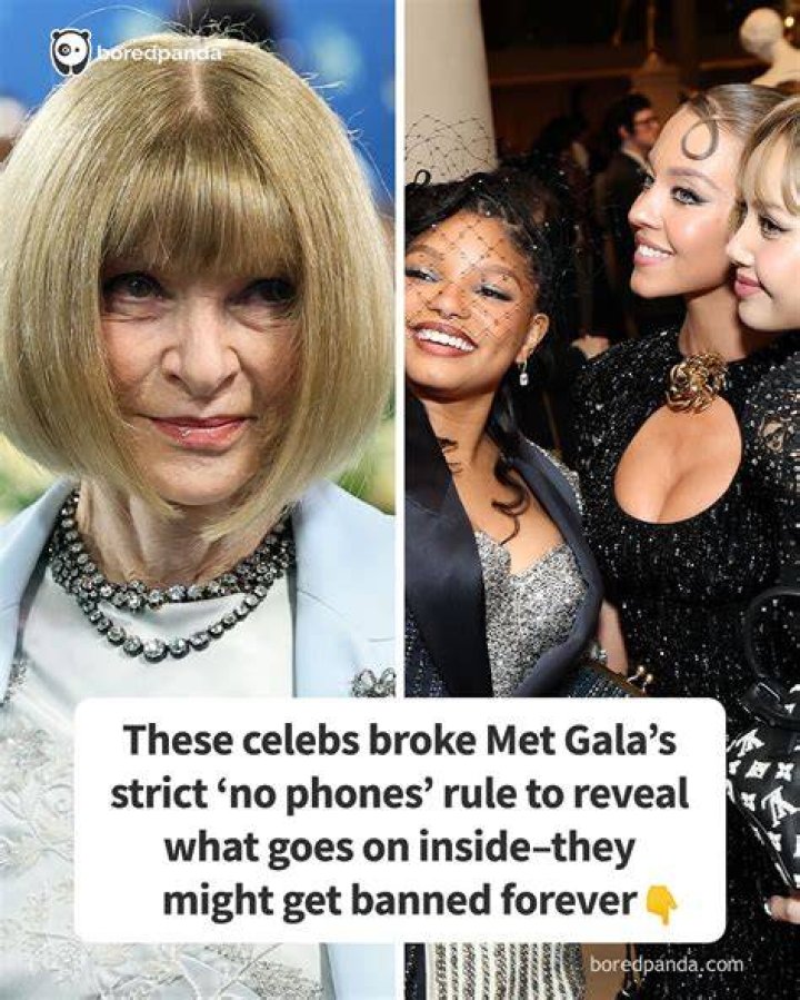 The Celebs Who Broke Anna Wintour S Met Gala Dress Code Who What Wear