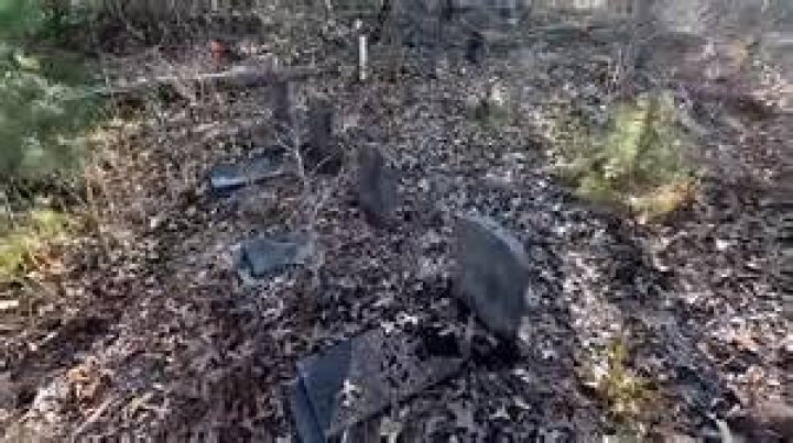The Saddest Cartel Video The Cruel & Savage Murder Of Maria Fernanda