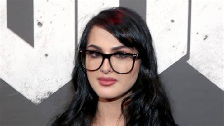 The Untold Truth Of SSSniperWolf