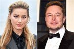 Unraveling the Relationship with Elon Musk