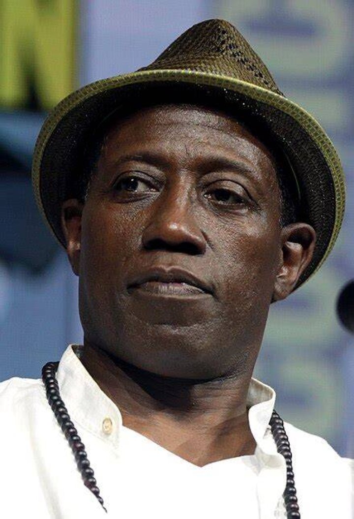 Wesley Snipes Health Problems What Happened To Him? Facts To Know