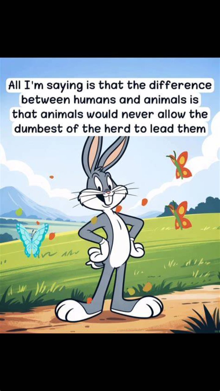 What&rsquo;s the difference?