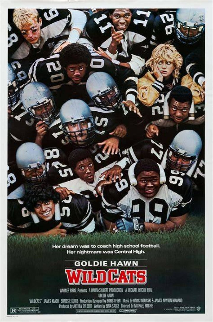 Wildcats (1986)