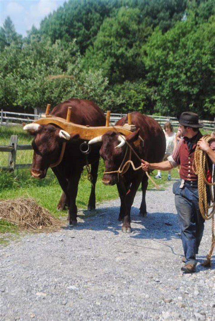 &ldquo;Wilder Days&rdquo; at Genesee Country Museum feature Dean Butler Westside