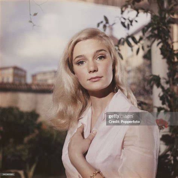 Yvette Mimieux Yvette mimieux, Celebrity look alike, Blonde celebrities